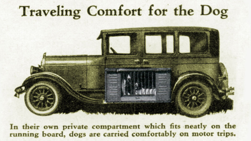 Illustration for article titled Why Your Dog Is Probably Glad Running Boards Are Dead